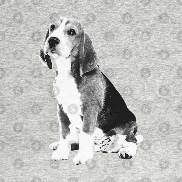 beagle by big_owl